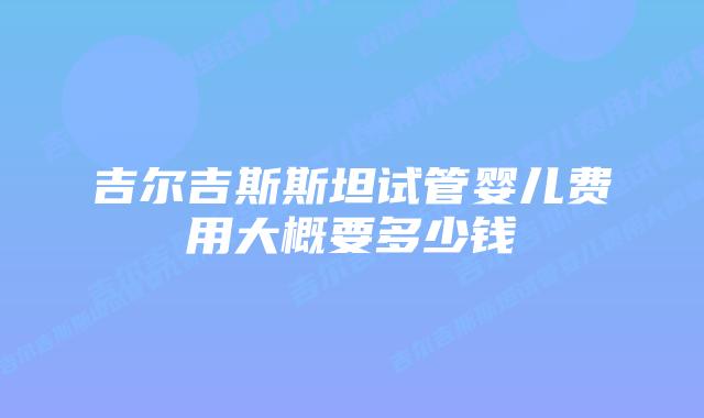 吉尔吉斯斯坦试管婴儿费用大概要多少钱