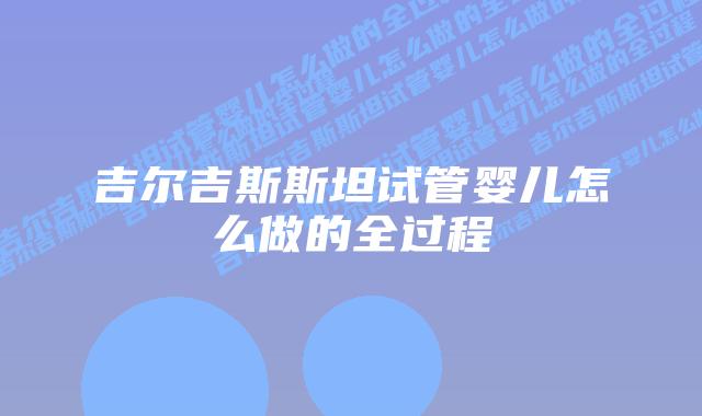 吉尔吉斯斯坦试管婴儿怎么做的全过程