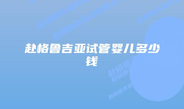 赴格鲁吉亚试管婴儿多少钱