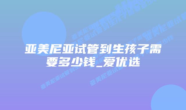 亚美尼亚试管到生孩子需要多少钱_爱优选