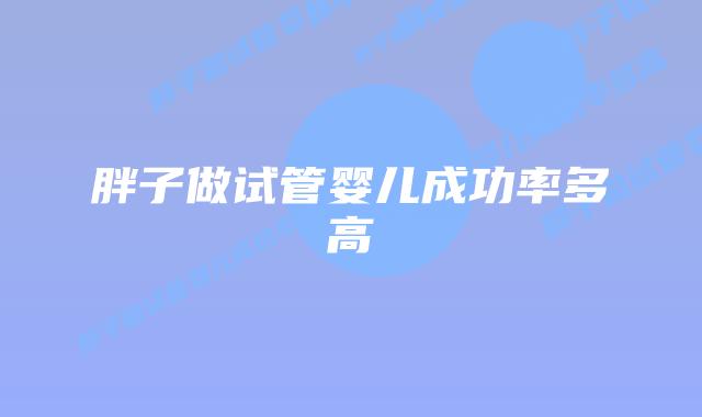 胖子做试管婴儿成功率多高