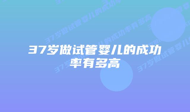 37岁做试管婴儿的成功率有多高