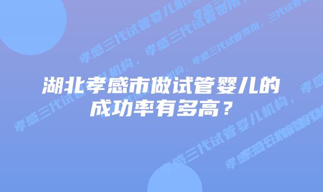 湖北孝感市做试管婴儿的成功率有多高？