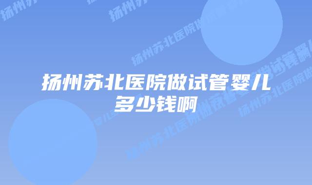扬州苏北医院做试管婴儿多少钱啊