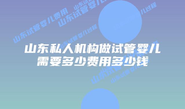 山东私人机构做试管婴儿需要多少费用多少钱