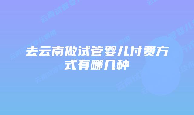 去云南做试管婴儿付费方式有哪几种