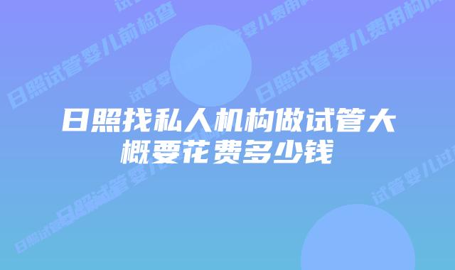 日照找私人机构做试管大概要花费多少钱