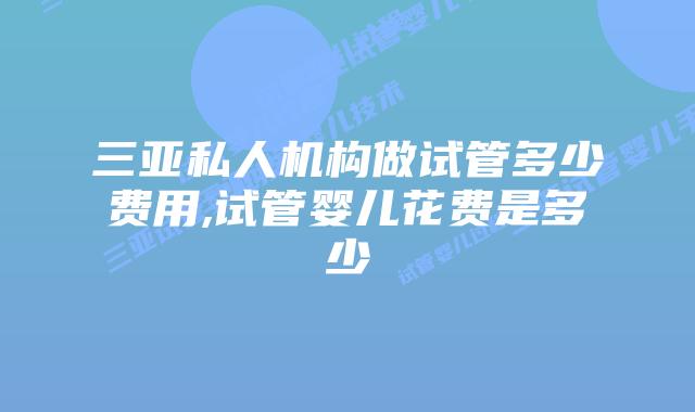 三亚私人机构做试管多少费用,试管婴儿花费是多少