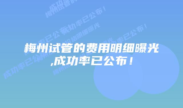 梅州试管的费用明细曝光,成功率已公布!
