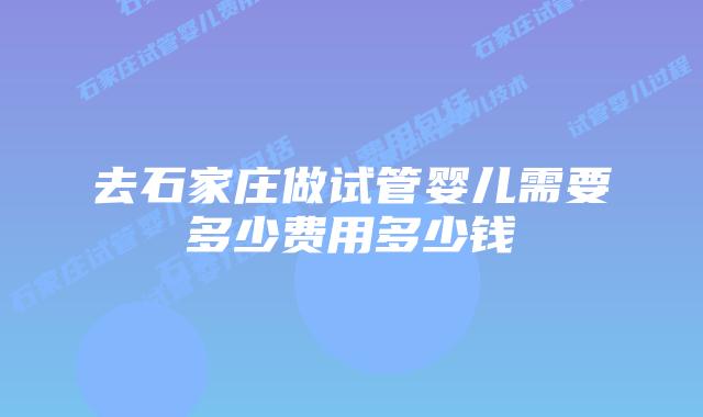去石家庄做试管婴儿需要多少费用多少钱