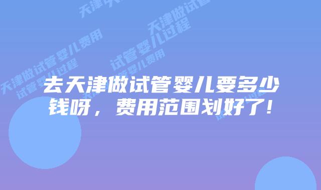 去天津做试管婴儿要多少钱呀,费用范围划好了!