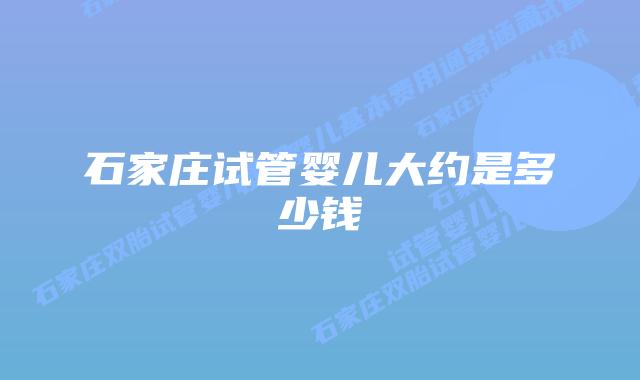 石家庄试管婴儿大约是多少钱