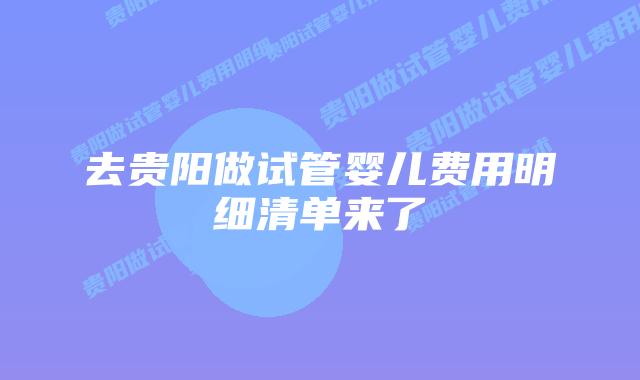 去贵阳做试管婴儿费用明细清单来了