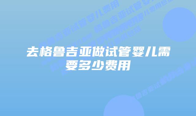 去格鲁吉亚做试管婴儿需要多少费用