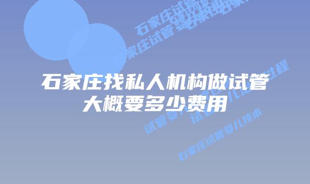 石家庄找私人机构做试管大概要多少费用