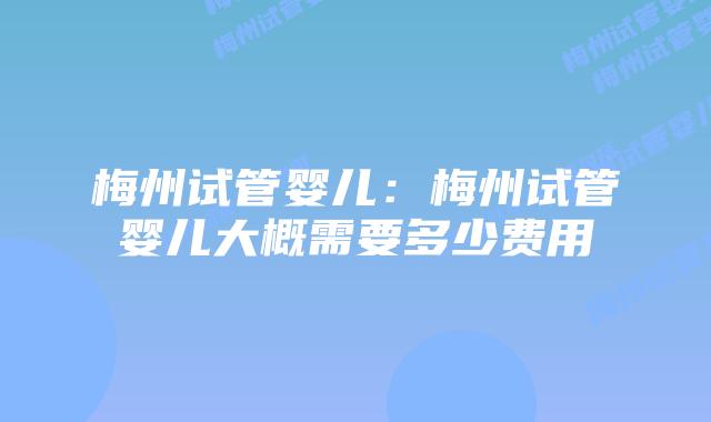 梅州试管婴儿:梅州试管婴儿大概需要多少费用