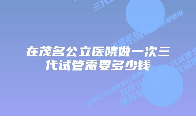 在茂名公立医院做一次三代试管需要多少钱