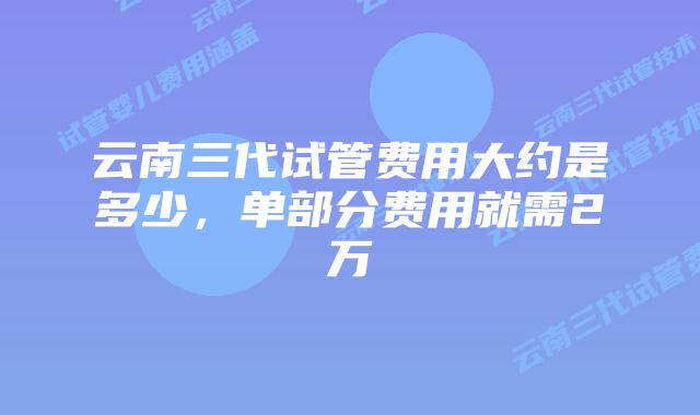 云南三代试管费用大约是多少，单部分费用就需2万