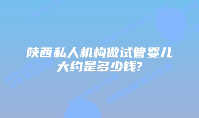 陕西私人机构做试管婴儿大约是多少钱?
