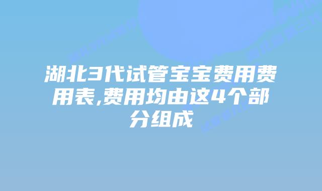湖北3代试管宝宝费用费用表,费用均由这4个部分组成