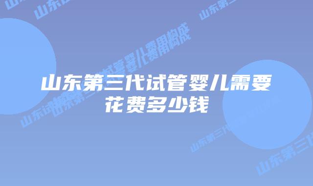 山东第三代试管婴儿需要花费多少钱