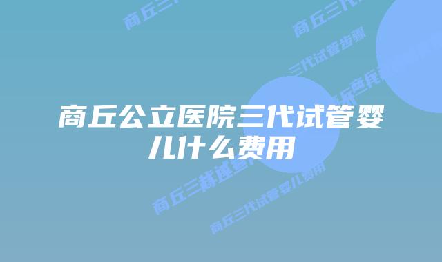 商丘公立医院三代试管婴儿什么费用