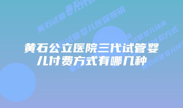黄石公立医院三代试管婴儿付费方式有哪几种