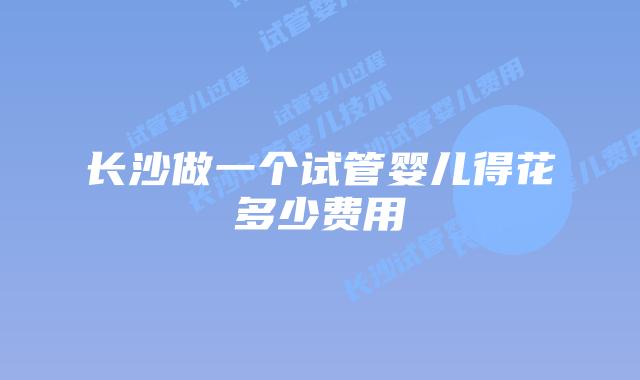 长沙做一个试管婴儿得花多少费用