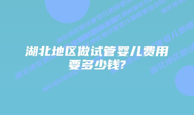 湖北地区做试管婴儿费用要多少钱?
