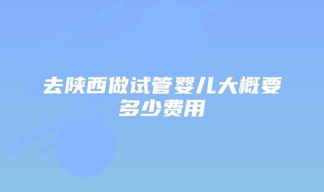 去陕西做试管婴儿大概要多少费用