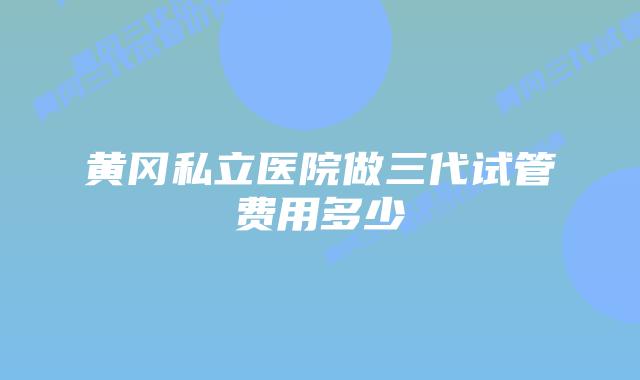 黄冈私立医院做三代试管费用多少