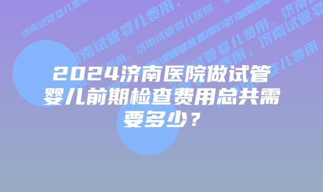 2024济南医院做试管婴儿前期检查费用总共需要多少？
