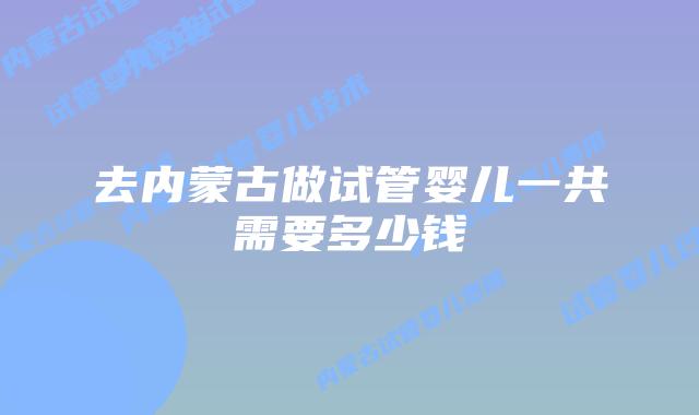 去内蒙古做试管婴儿一共需要多少钱