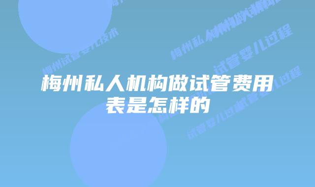 梅州私人机构做试管费用表是怎样的