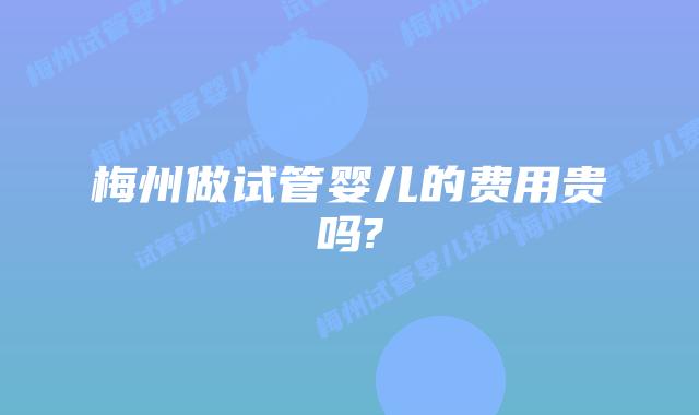 梅州做试管婴儿的费用贵吗?