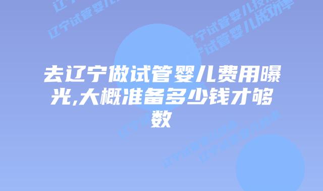 去辽宁做试管婴儿费用曝光,大概准备多少钱才够数