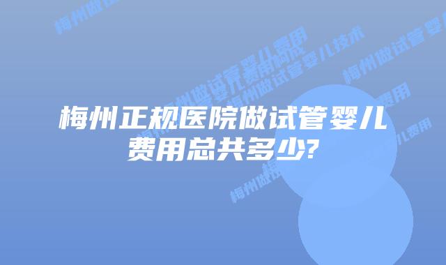 梅州正规医院做试管婴儿费用总共多少?
