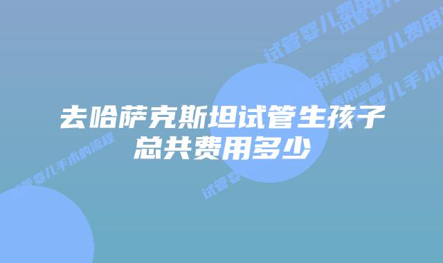 去哈萨克斯坦试管生孩子总共费用多少