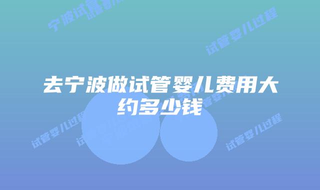 去宁波做试管婴儿费用大约多少钱