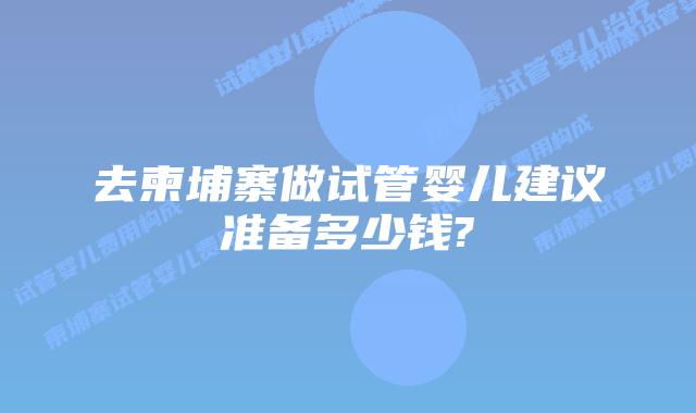 去柬埔寨做试管婴儿建议准备多少钱?