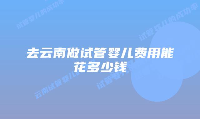 去云南做试管婴儿费用能花多少钱