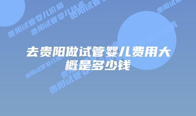 去贵阳做试管婴儿费用大概是多少钱