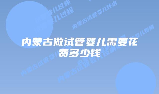 内蒙古做试管婴儿需要花费多少钱