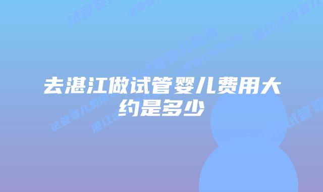 去湛江做试管婴儿费用大约是多少