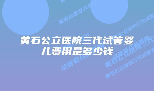 黄石公立医院三代试管婴儿费用是多少钱