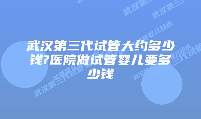 武汉第三代试管大约多少钱?医院做试管婴儿要多少钱