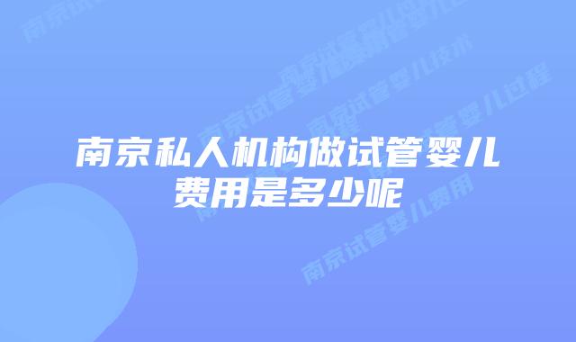南京私人机构做试管婴儿费用是多少呢
