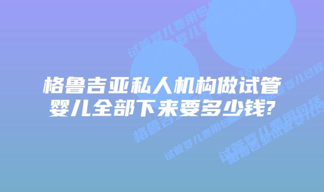 格鲁吉亚私人机构做试管婴儿全部下来要多少钱?