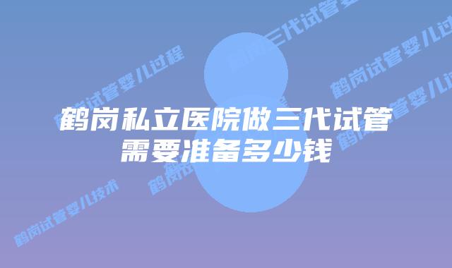 鹤岗私立医院做三代试管需要准备多少钱
