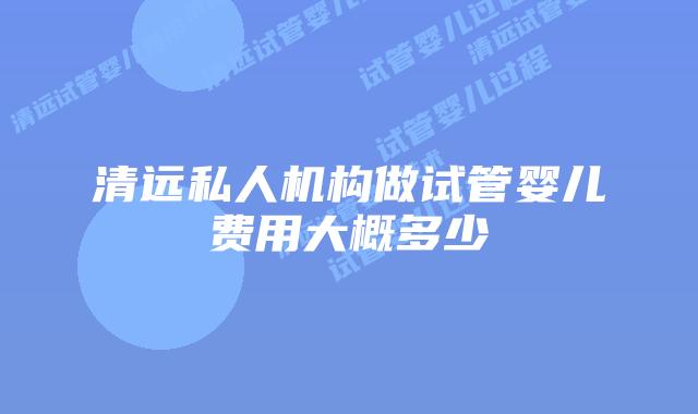 清远私人机构做试管婴儿费用大概多少
